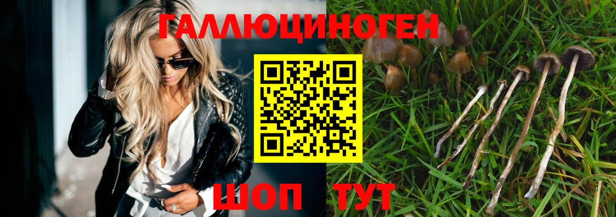 Карталы  Галлюциногенные грибы мицелий  Вход с VPN 